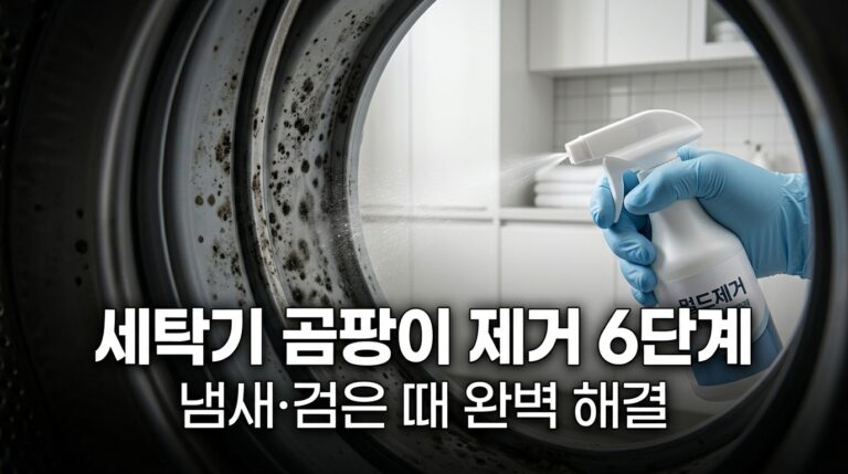 세탁기곰팡이제거인포그래픽
